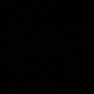 Meet your Posher, Dianna